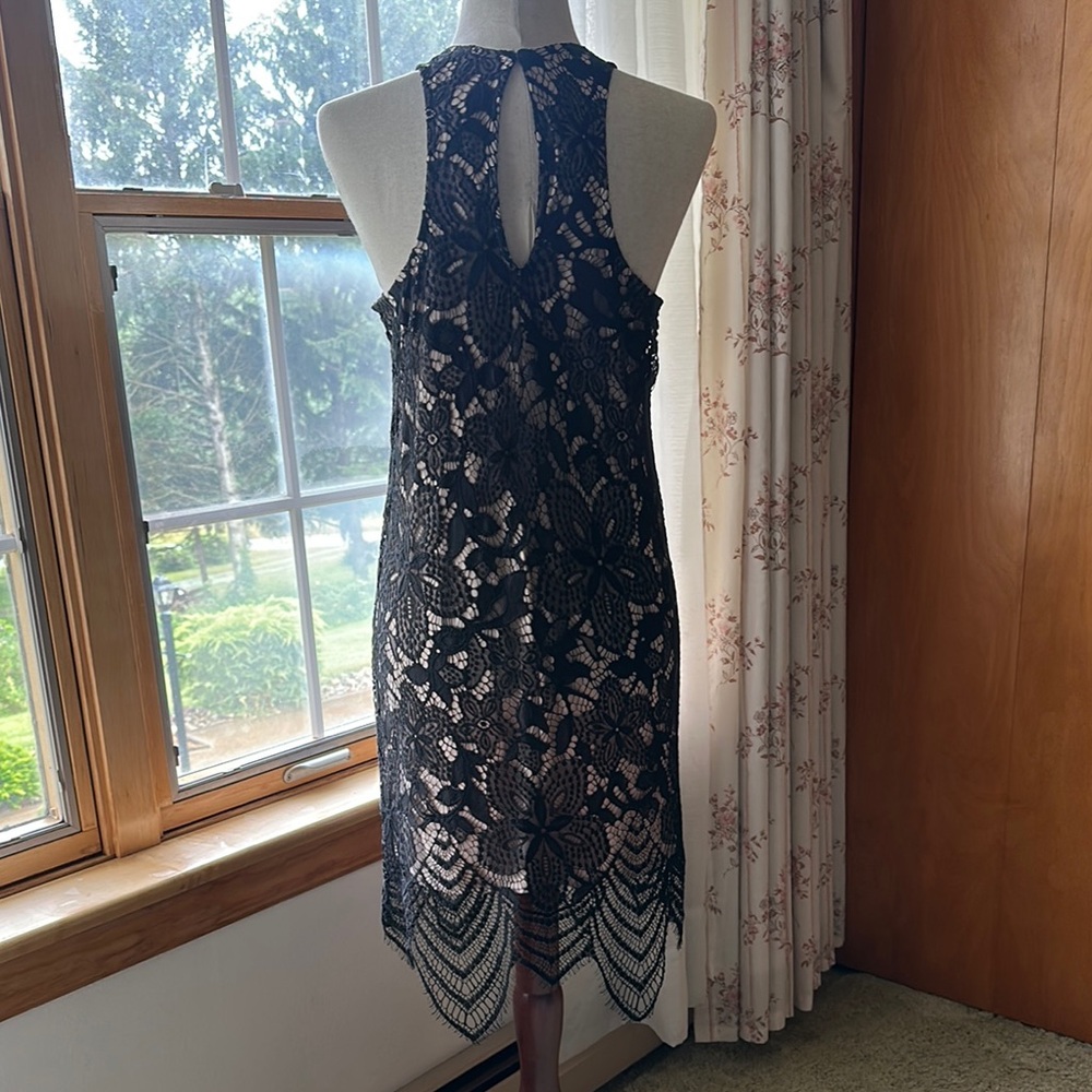 Express- NWT: Elegant Black Lace Dress - Picture 13 of 16